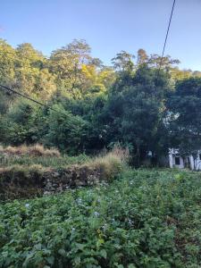 Gallery image of Vishranti homestay in Narendranagar