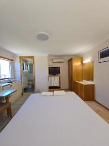 TV/trung tâm giải trí tại Tumut Valley Motel Pet Friendly
