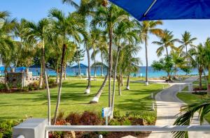 a view of a beach with palm trees and a road at St Thomas Luxury Beach Resort in Nazareth