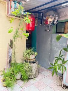 Vườn quanh 模範人家-包棟-彼岸市區館