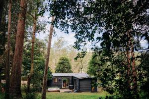 a small cabin in the middle of a forest at Mystwood Spa Cabins in Wollombi
