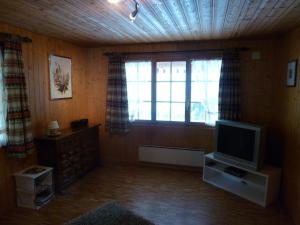TV a/nebo společenská místnost v ubytování Alpenrösli