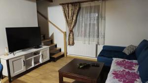 a living room with a blue couch and a television at Casuta de lemn in Tîrşa