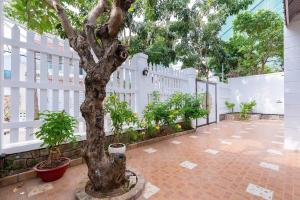 Zahrada ubytování Kegotel Villa Bãi Sau - Central 01