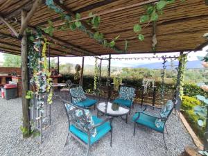 Glamping El Muelle外面的花园