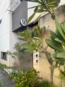 Ho-mei幸福客棧的前面有树木和植物的建筑