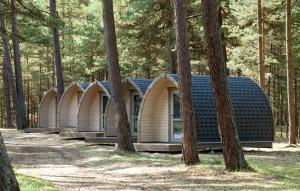une rangée de maisons modulaires dans les bois dans l'établissement BB camping, à Liepāja