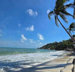 a beach with two palm trees and the ocean at Moon house Beach Hostel in Haad Rin