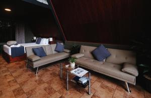 a living room with two couches and a bed at Yarumo Lodge, Río Celeste Black Chalets in Bijagua