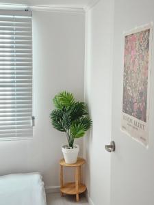 una pianta seduta su un tavolo accanto a una porta di Palace outing a Suwon