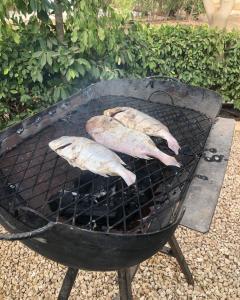 three fish are cooking on a barbecue grill at La Maison Aziz - Somone / Sénégal in Somone