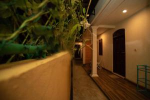 Gambar di galeri bagi Villa Mihindi di Hikkaduwa +91 gambar