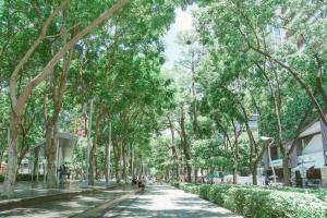 a tree lined street with people walking down it at InterContinental Taichung by IHG in Taichung