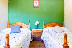 two beds in a room with a green wall at Mas Vell in Catí