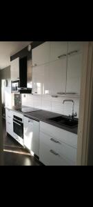 Gallery image of Tornio City 2BR with sauna, Hallituskatu in Tornio