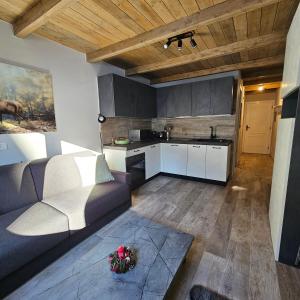 Kuchyňa alebo kuchynka v ubytovaní Moda Apartments Scalette