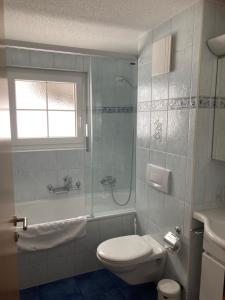 Koupelna v ubytování Apartment Aura