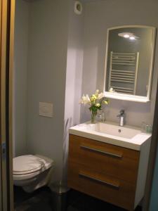 a bathroom with a sink and a toilet and a mirror at Au Cèdre d'Or B&B in Lambersart