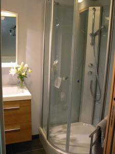 a bathroom with a shower with a glass door at Au Cèdre d'Or B&B in Lambersart