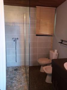 Un baño con ducha, inodoro y lavabo. en chalet à Orcieres merlette pour 10, en Orcières