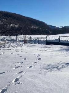 Paesaggio naturale nelle vicinanze della casa vacanze