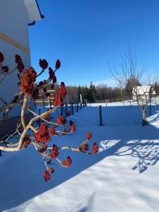 Vikendica Matić durante l'inverno