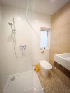 a bathroom with a shower and a toilet and a sink at Valletta Charming 2 Bedroom Apt in Valletta +31 photos