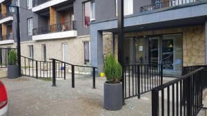 een gebouw met een potplant voor een gebouw bij Bakuriani premium comfort in Bakuriani