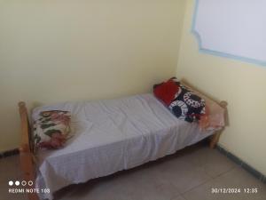 Postel nebo postele na pokoji v ubytování بيت شباب في محطه مصر