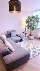 Cozy cove的休息区