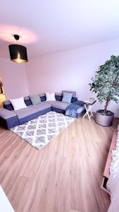 Cozy cove的休息区