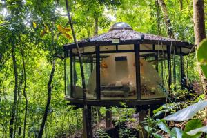 Vrt pred nastanitvijo The Nest Unique Jungle Retreat