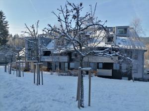 Apartman Sofie Harrachov v zimě