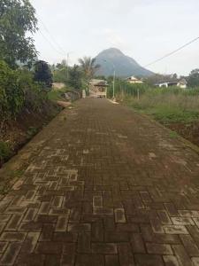 eine Backsteinstraße mit einem Berg im Hintergrund in der Unterkunft Farm House , Mountain View, Coffee Vegetable Farm BATU CITY in Tlekung