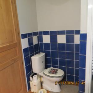 a bathroom with a toilet with blue and white tiles at les bleuet in Cours +3 photos