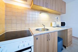 Afbeelding uit fotogalerij van EVerLuck město in Loket