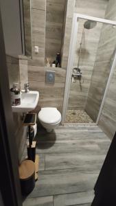 a bathroom with a toilet and a sink at Appartement Sélestat centre in Sélestat