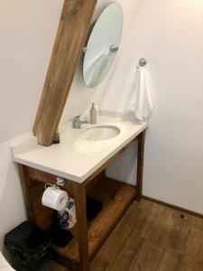 Estación PintoCabañas CAVACI的一间带镜子水槽的浴室 更多16张照片