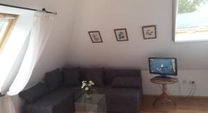 ein Wohnzimmer mit einem Sofa und einem TV in der Unterkunft Ferienwohnung Buchenpark in Prerow
