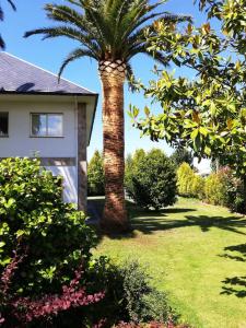 eine Palme in einem Hof neben einem Haus in der Unterkunft Gran chalet con jardín, piscina y BBQ in Sada