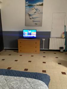 Televízia a/alebo spoločenská miestnosť v ubytovaní Les Mouettes