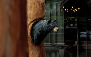 a statue of a black bear hanging on a pole at The Lodge at Jackson Hole in Jackson
