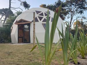 Zahrada ubytování Ocean Domes