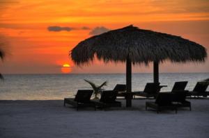 a group of chairs and an umbrella on a beach at 2BR 2BA Beachfront With View 62 in Bayahibe