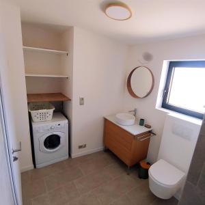 a bathroom with a washing machine and a sink at Charmant Cottage in Châtenois