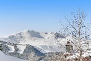 a mountain covered in snow with a tree in the foreground at River Mountain Lodge in Breckenridge