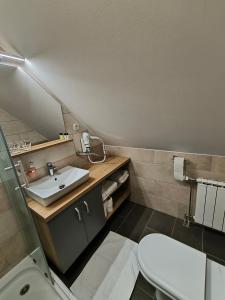 Vannituba majutusasutuses Guesthouse Haler