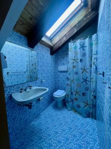 a blue bathroom with a sink and a toilet at TEA San Pellegrino - DOLOMITI in Falcade