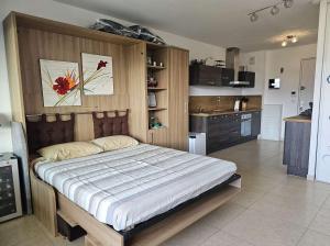 Η κουζίνα ή μικρή κουζίνα στο Studio Nautilus N7 proche centre-ville Porto-vecchio
