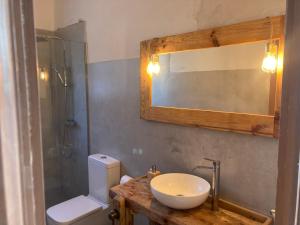 a bathroom with a sink and a toilet and a mirror at Villa modernista Llafranc in Llafranc